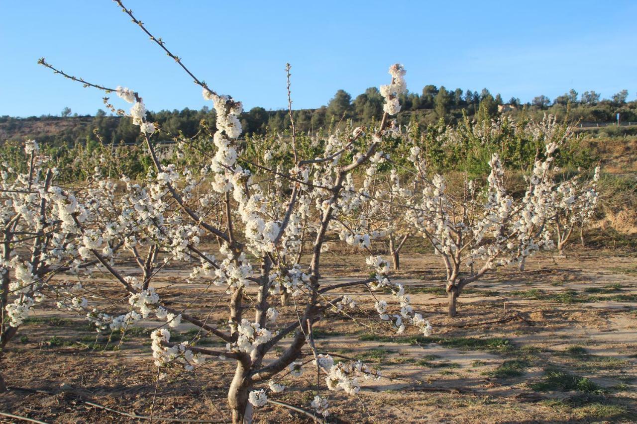 Masia Rural L'Hort De Maso มิราเวต ภายนอก รูปภาพ
